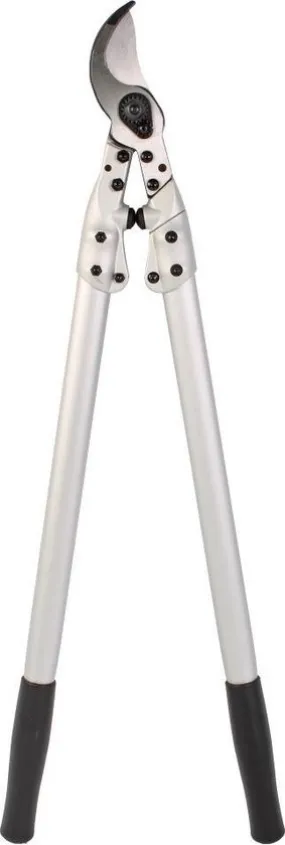 Talen Tools professionele takkenschaar D755